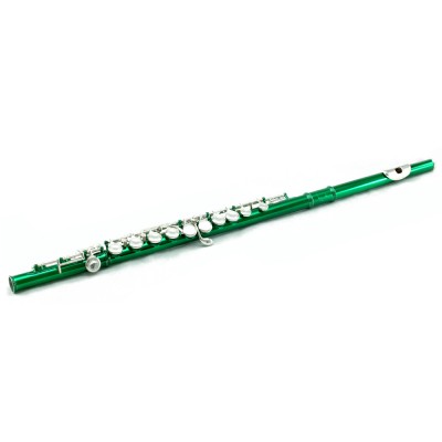 Sky Closed Hole C Flute with Lightweight Case, Cleaning Rod, Cloth, Joint Grease and Screw Driver - Green Silver   